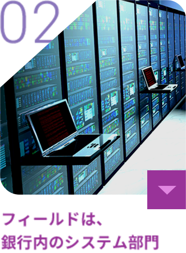 フィールドは、銀行内のシステム部門